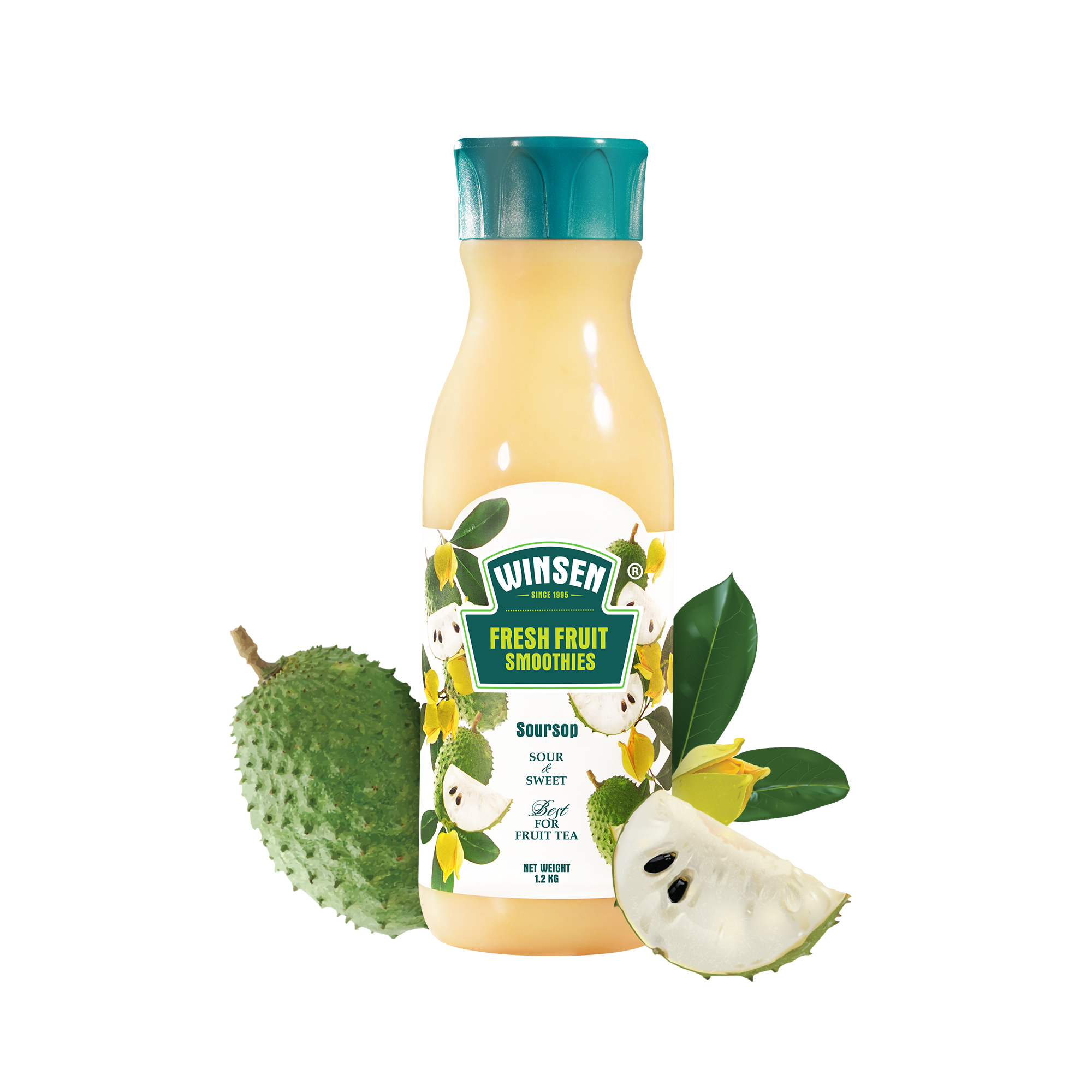 SINH TỐ MÃNG CẦU